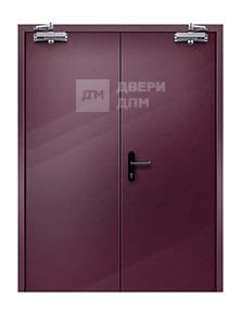 Глухая двупольная ДПМ-02 EI-15 противопожарная дверь со скрытыми петлями