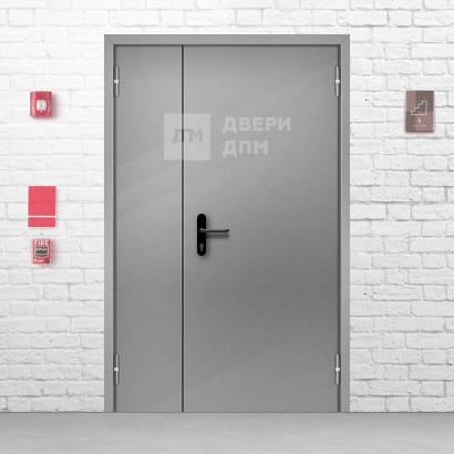 Глухая ДПМ-02 EI-45 полуторная противопожарная дверь в серверную
